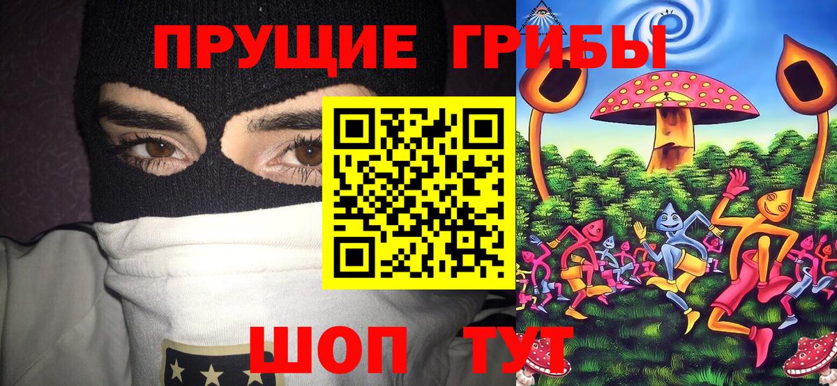Галлюциногенные грибы MAGIC MUSHROOMS Кировск