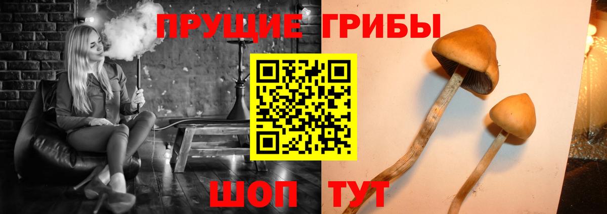 Псилоцибиновые грибы MAGIC MUSHROOMS  Псилоцибиновые грибы Psilocybine cubensis  Кировск  Вход с VPN 